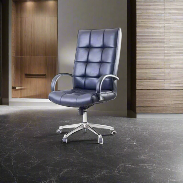 High quality director chair - leather - OMD-264