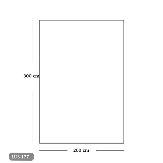 سجادة هاند ميد من الصوف الخالص - 300x200cm - LUS-177