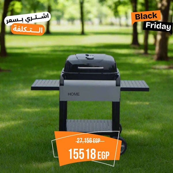 Stainless steel charcoal grill - FH-005