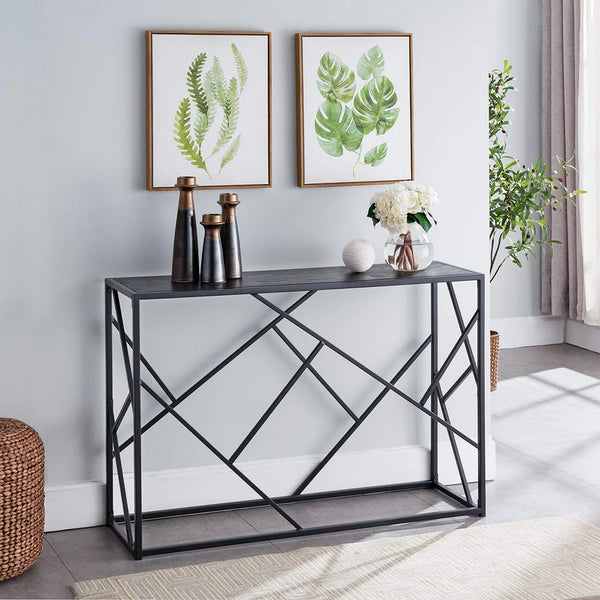 Hermann console electrostatic paint