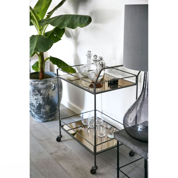 Thermal paint trolley - OLT-042